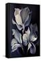 Canvas Black
