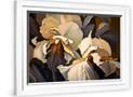 Gramercy White