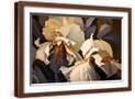 Brown Frame