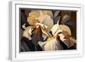 White Frame
