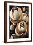 Brown Frame