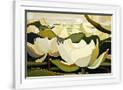 Gramercy White