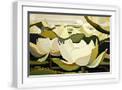 White Frame