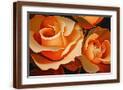 Brown Frame