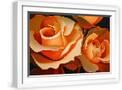 White Frame