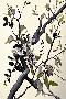 Just the Print