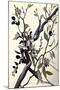 Wood Mount