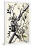 Gramercy White