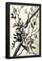 Essential Black