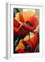White Frame
