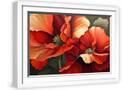 White Frame