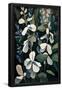 Essential Black