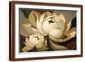 Brown Frame