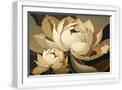 White Frame
