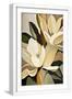 White Frame