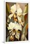 Gramercy White