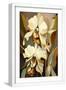 White Frame