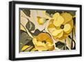 Black Frame