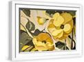 White Frame