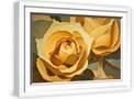 White Frame