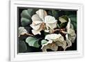 Gramercy White