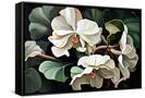 Canvas Black