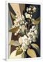 Gramercy White