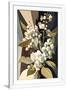 Gramercy White