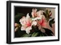 Black Frame