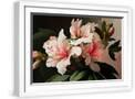 White Frame