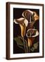 Brown Frame