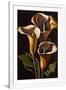 Gramercy White