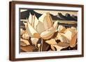 Brown Frame