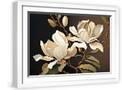 White Frame
