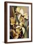 Brown Frame
