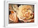 White Frame