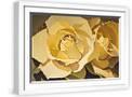 White Frame