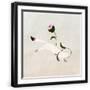 Black Frame