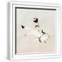 White Frame