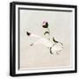 Chelsea Black