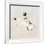 Gramercy White