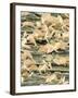 Lead Oxide Crystals on Lead, SEM-Dr. Kari Lounatmaa-Framed Photographic Print