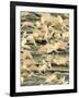 Lead Oxide Crystals on Lead, SEM-Dr. Kari Lounatmaa-Framed Photographic Print