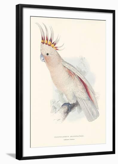 Leadbeater's Cockatoo-Edward Lear-Framed Giclee Print