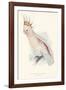 Leadbeater's Cockatoo-Edward Lear-Framed Giclee Print