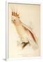 Leadbeater'S, Major Mitchell'S, or Pink Cockatoo-Edward Lear-Framed Giclee Print