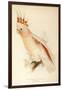 Leadbeater'S, Major Mitchell'S, or Pink Cockatoo-Edward Lear-Framed Giclee Print