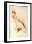 Leadbeater'S, Major Mitchell'S, or Pink Cockatoo-Edward Lear-Framed Giclee Print