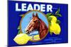 Leader Brand Lemons-null-Mounted Premium Giclee Print