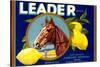 Leader Lemon Label-null-Stretched Canvas